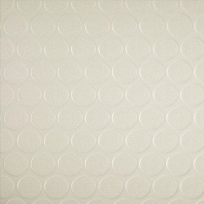 Birch White